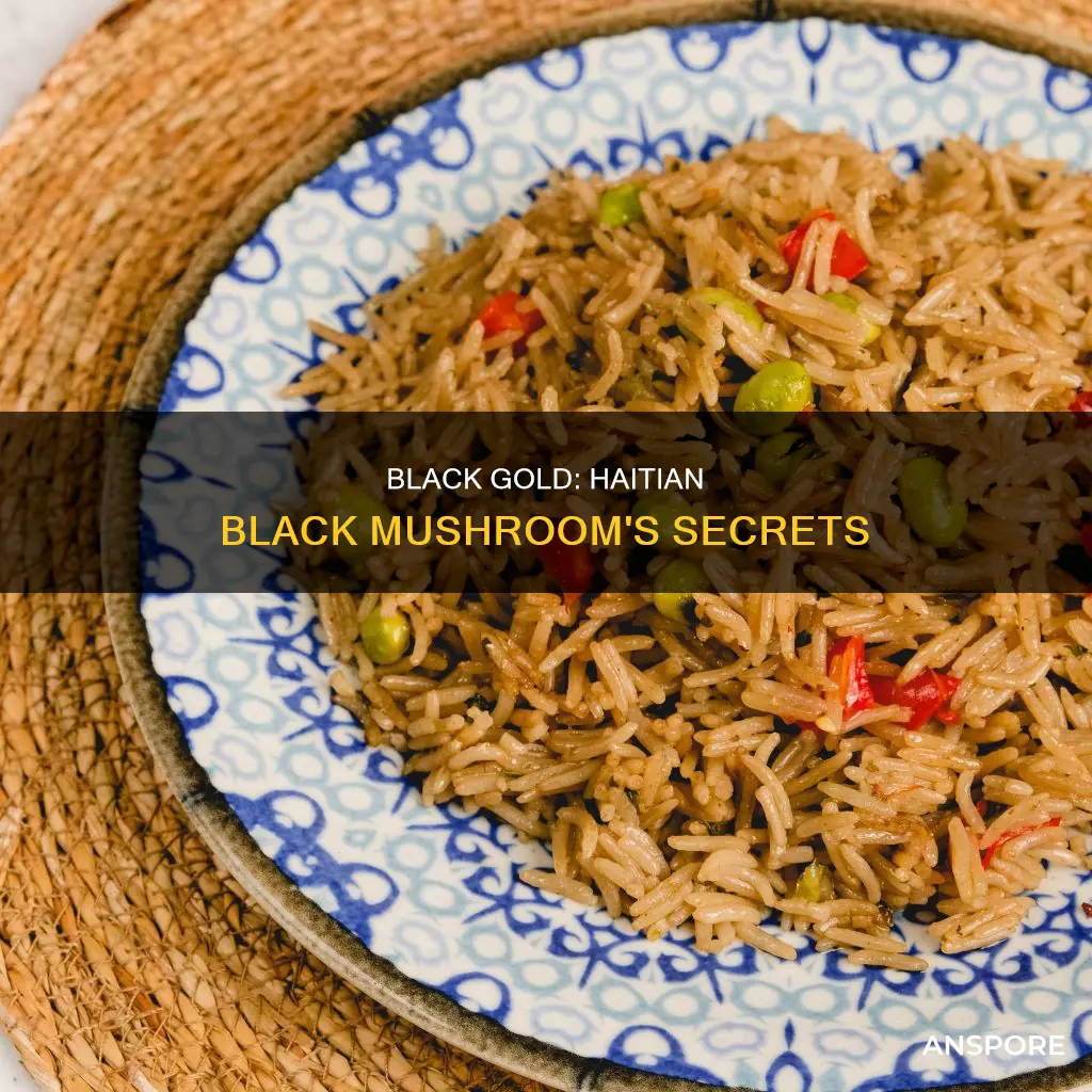 what is haitian black mushroom