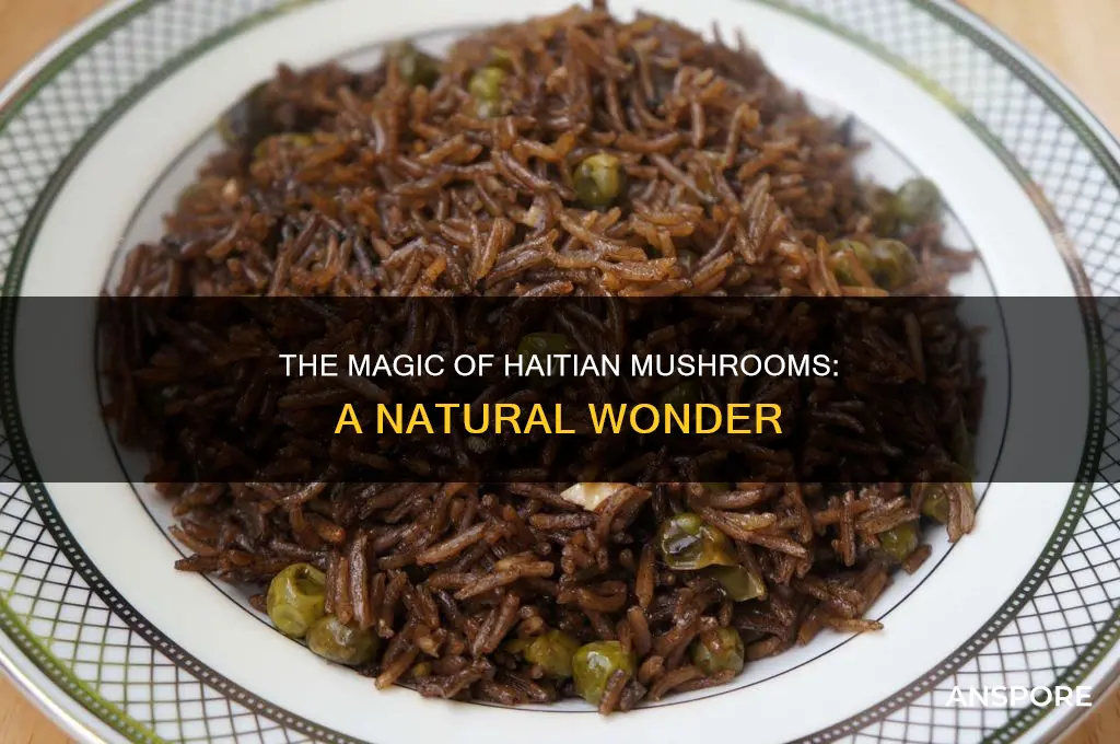 what is haitian mushroom