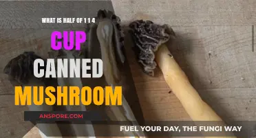 Half of 1 1/4 Cup Canned Mushrooms: Quick Measurement Guide