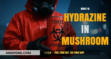 Hydrazine in Mushrooms: What You Need to Know
