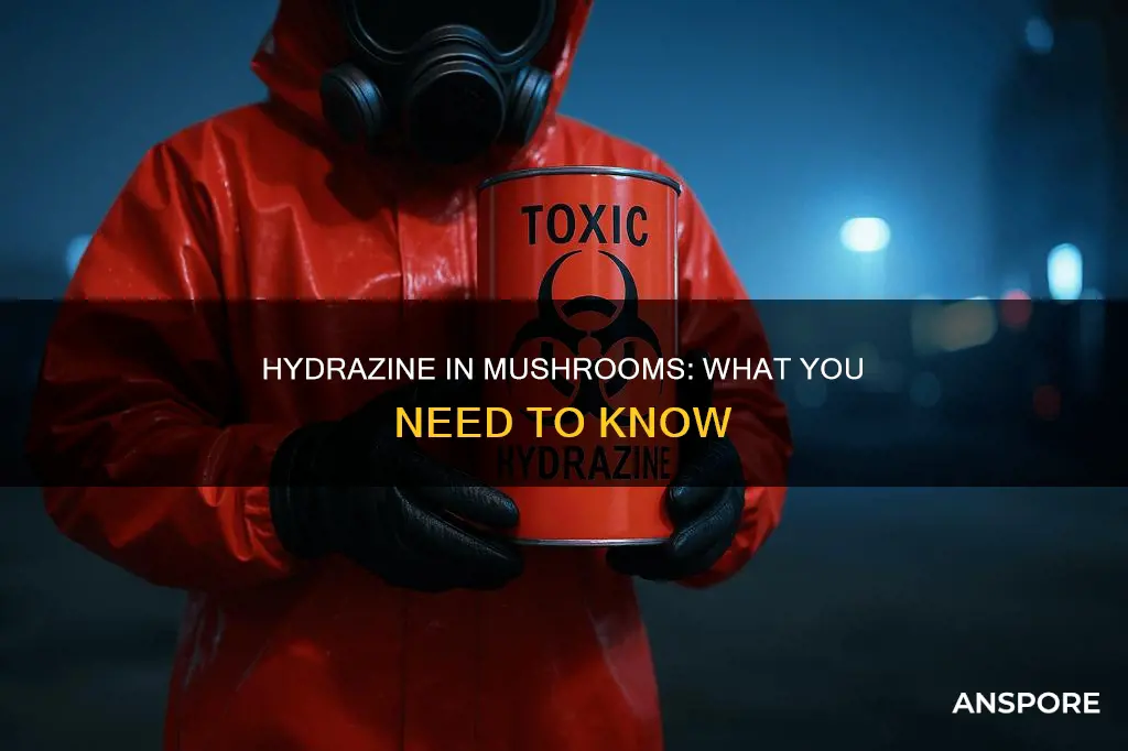 what is hydrazine in mushrooms