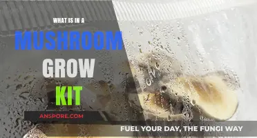 Unveiling the Essentials Inside a Mushroom Grow Kit