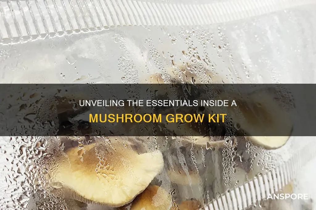 what is in a mushroom grow kit