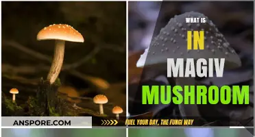 Magic Mushrooms' Mind-Bending Ingredients