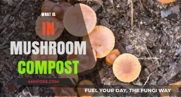 Mushroom Compost: Understanding the Magic Mix
