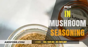 Mushroom Seasoning: The Magic Ingredient Revealed