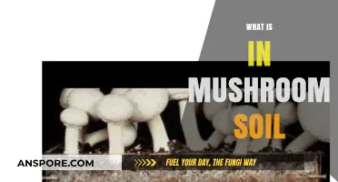 Mushroom Soil: What's in the Mix?