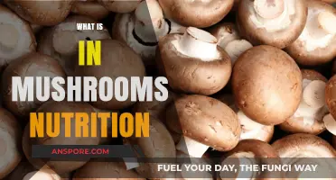 Mushrooms: Nutrition Powerhouses with Surprising Benefits