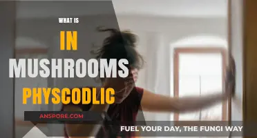 Psychedelic Mushrooms: A Trippy Adventure