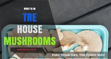 Exploring Tre House Mushrooms: Ingredients, Benefits, and Uses Revealed