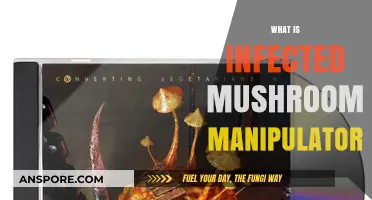 Infected Mushroom Manipulator: A Creative Audio Tool