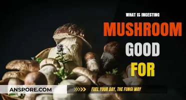 Health Benefits of Ingesting Mushrooms: Nutrition, Immunity, and Wellness Boost