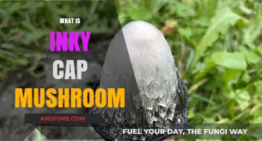 Inky Cap Mushrooms: Nature's Magical Delicacy