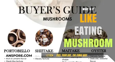 Exploring the Unique Flavors and Textures of Eating Mushrooms