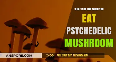 Exploring the Surreal World of Psychedelic Mushrooms: A Personal Journey