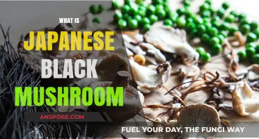 The Magic of Japanese Black Mushrooms