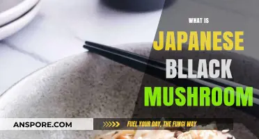 Explore the Japanese Black Mushroom's Secrets