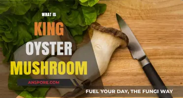 King Oyster Mushrooms: What Are They?