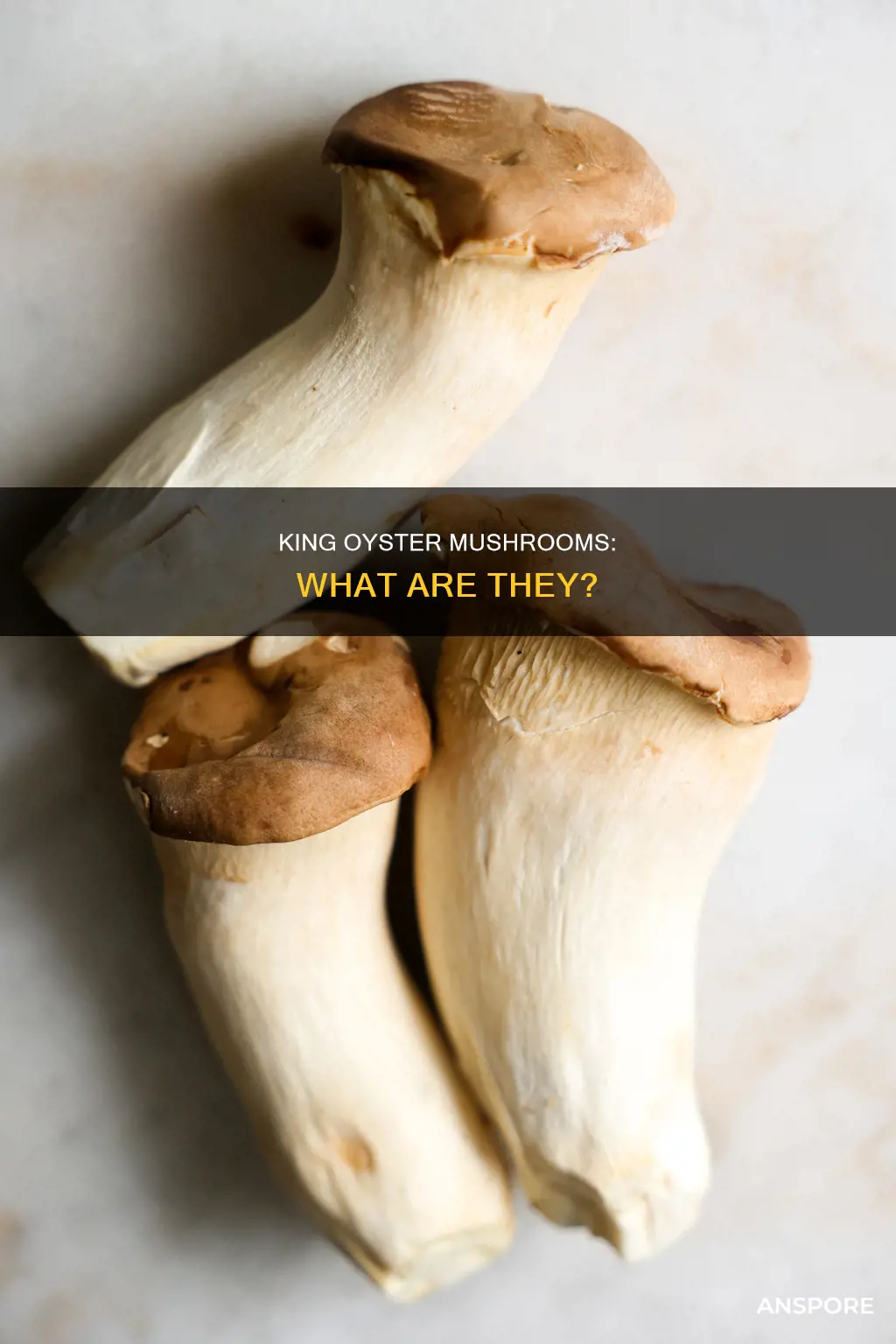 what is king oyster mushroom
