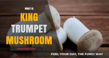 King Trumpet Mushrooms: A Tasty, Healthy Treat