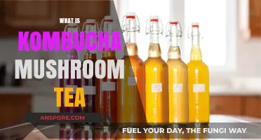 Kombucha Tea: The Magic of Mushroom Brew