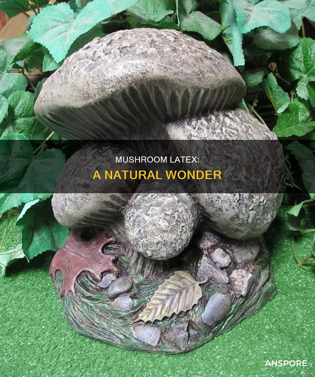 what is latex of mushroom
