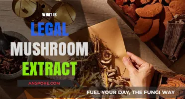 Understanding Legal Mushroom Extract: Benefits, Uses, and Safety Explained
