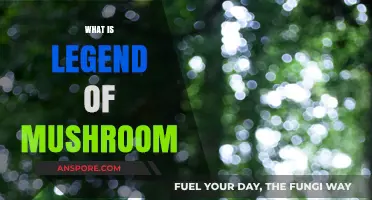 Mushroom Legend: Unveiling the Ancient Mystery