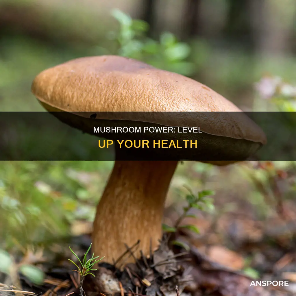 what is level up mushrooms