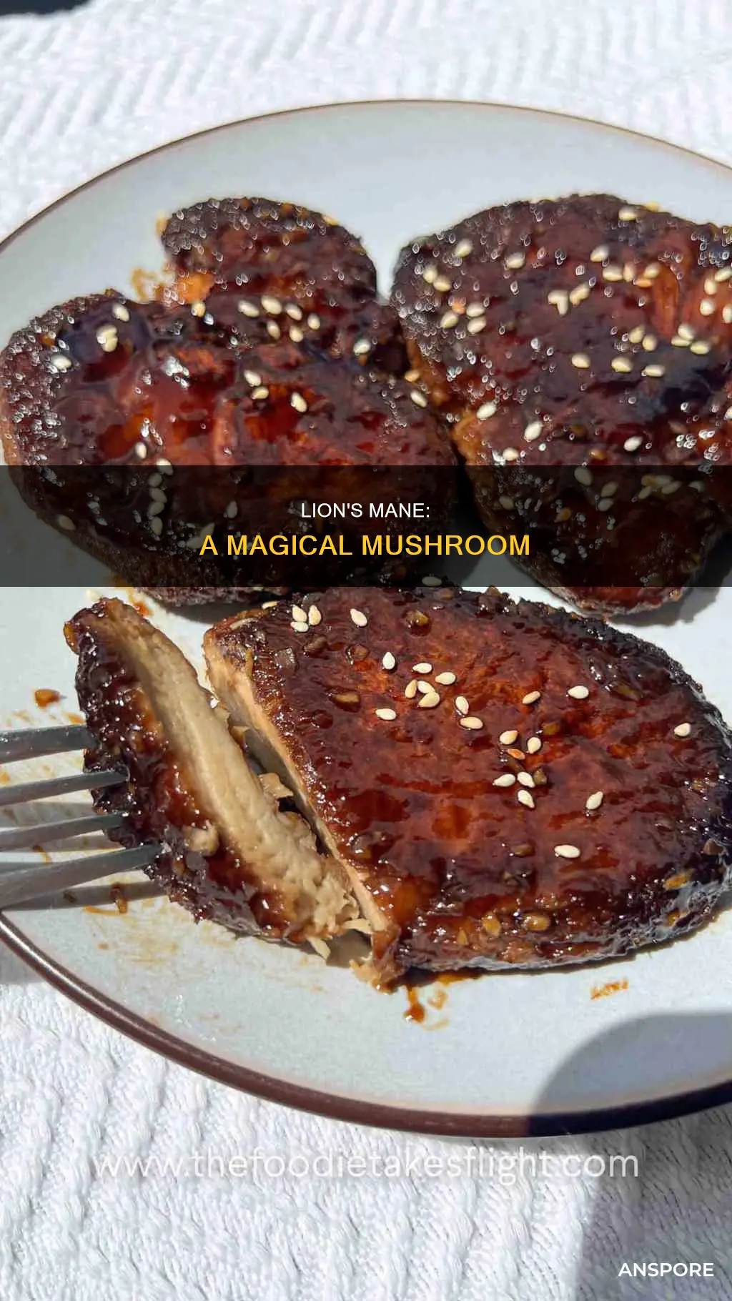 what is lion main mushrooms