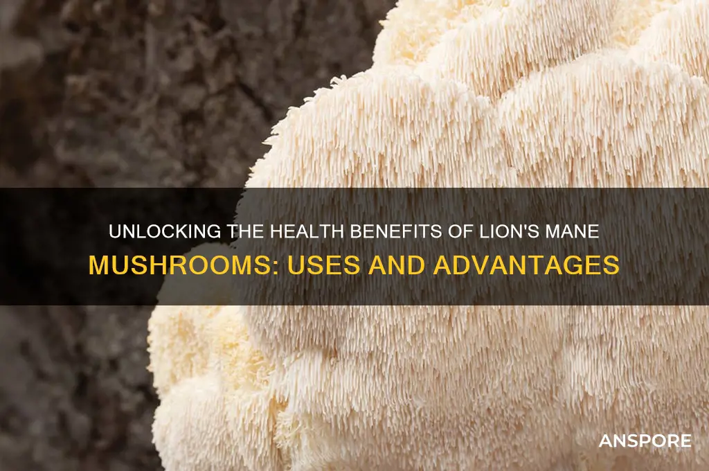 what is lions mane mushrooms good for
