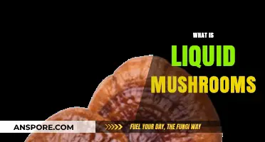 Liquid Mushrooms: A Healthy Alternative