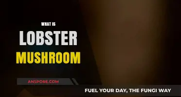 Lobster Mushrooms: A Fungi That Tastes Like Seafood