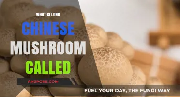 Unveiling the Mystery: What is the Long Chinese Mushroom Called?
