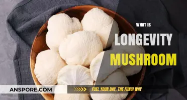 Longevity Mushrooms: Ancient Secret to Long Life