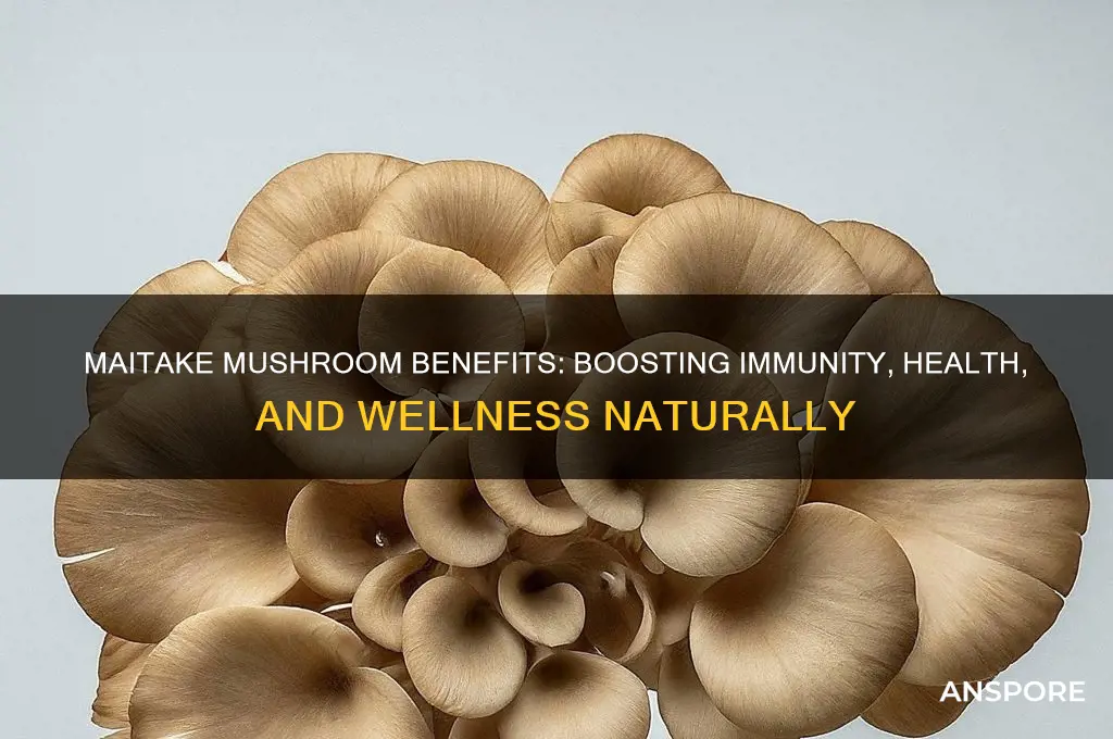 what is maitake mushroom good for