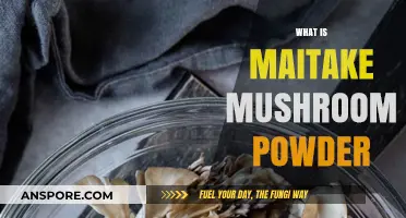 Maitake Mushroom Powder: A Superfood Boost
