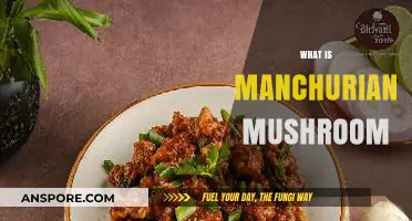 Mushroom Manchurian: An Ultimate Comfort Food
