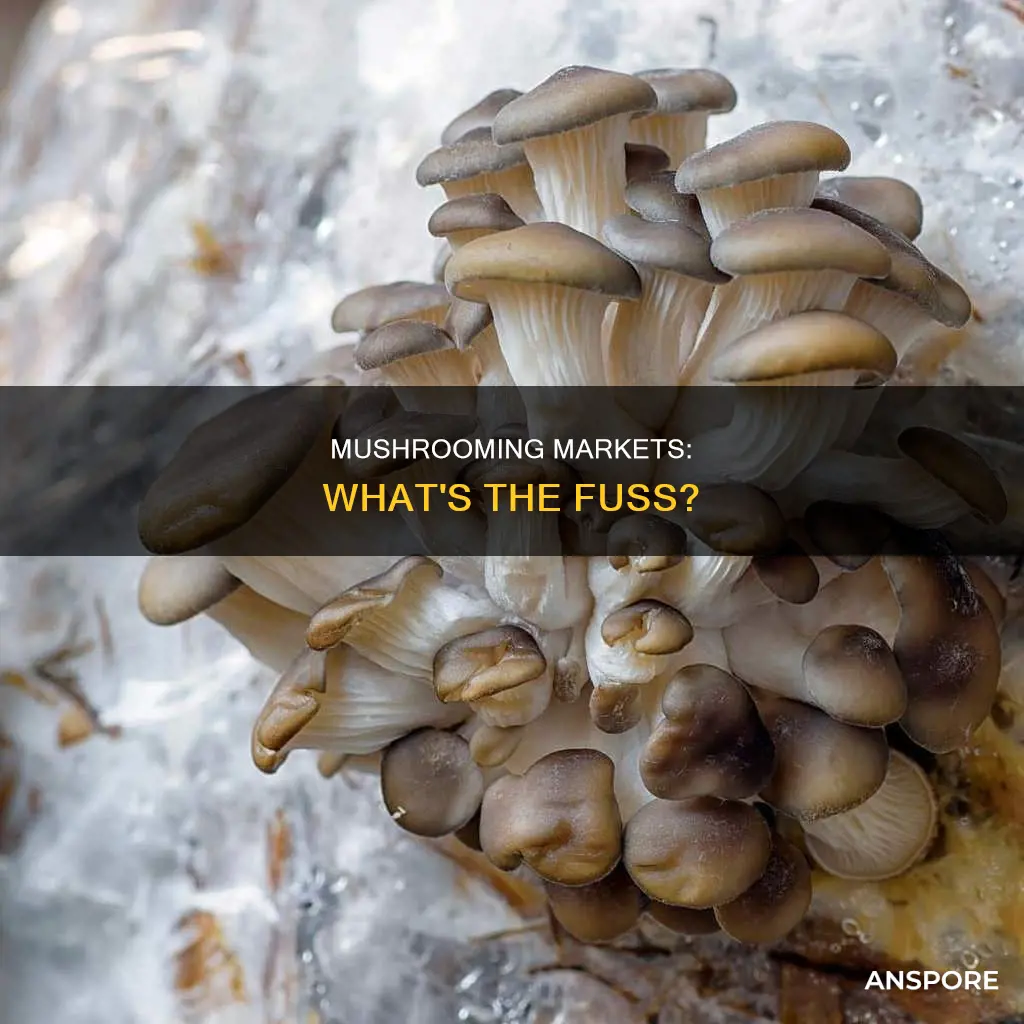 what is market mushrooms