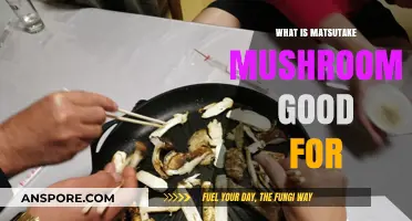 Matsutake Mushroom Benefits: Health, Culinary Uses, and Cultural Significance