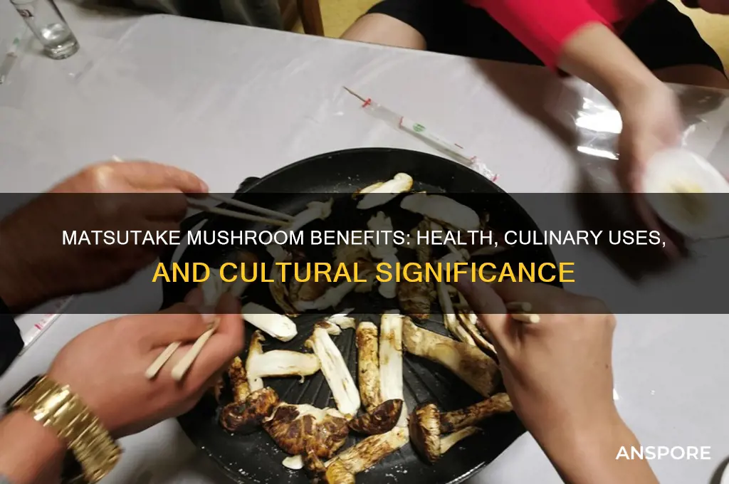 what is matsutake mushroom good for