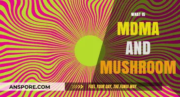 Psychedelics: MDMA and Mushrooms Explored