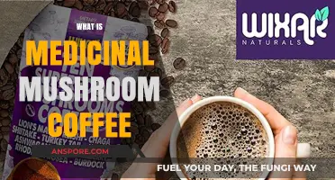 Mushroom Coffee: Nature's Brew for Health