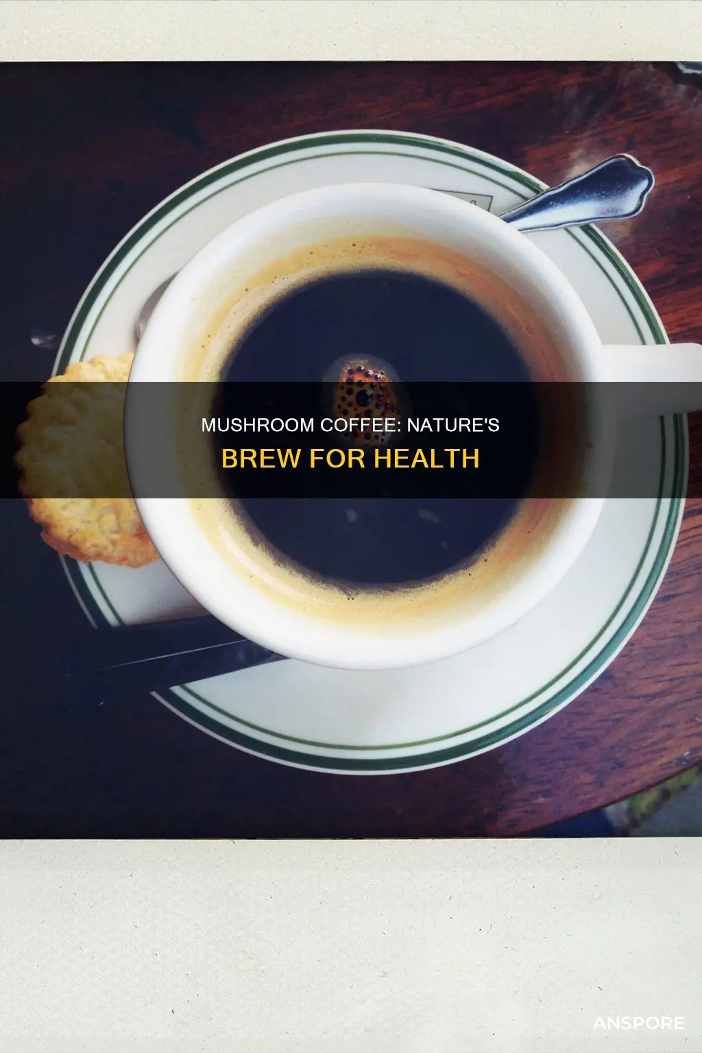 what is medicinal mushroom coffee