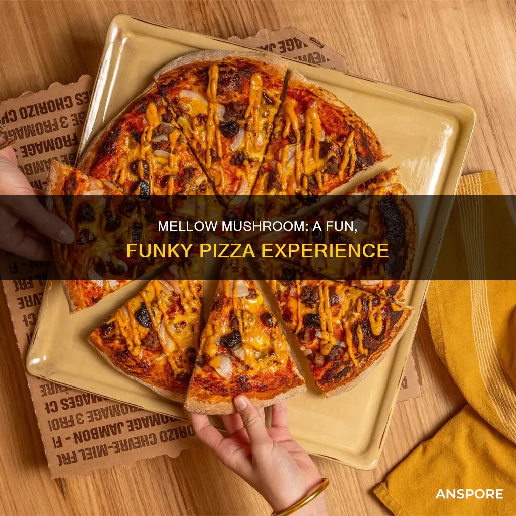 what is mellow mushroom restaurant