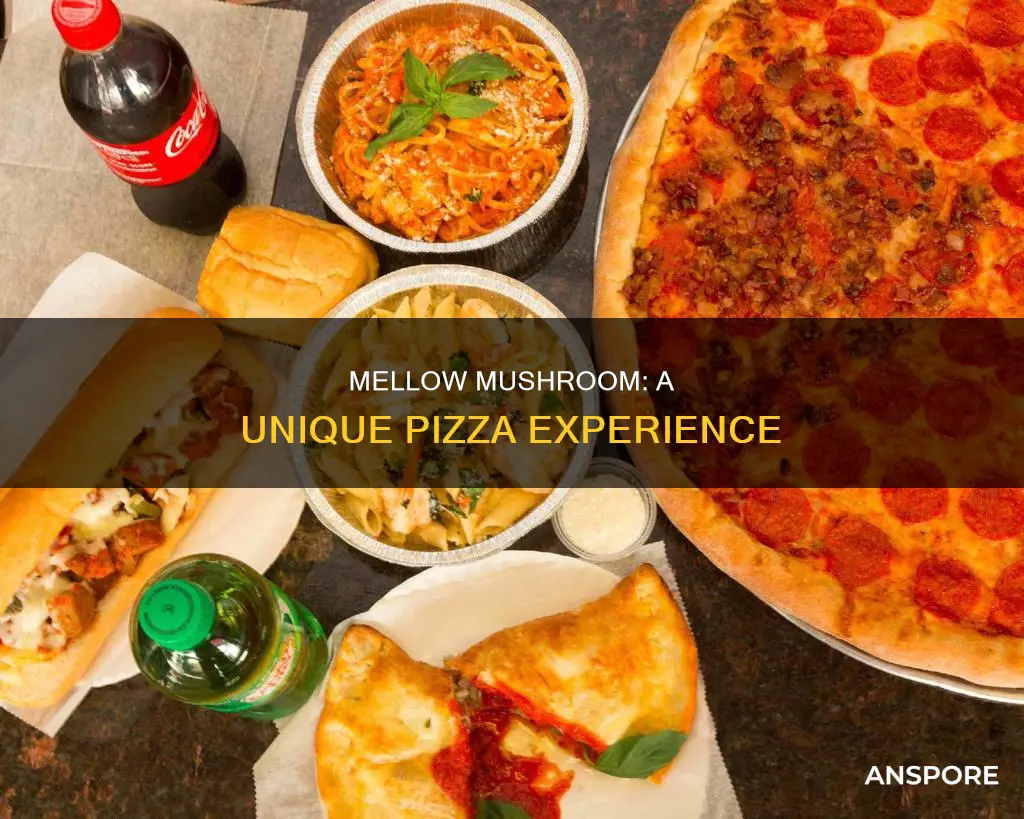 what is mellow mushroom