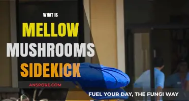 Mellow Mushroom's Secret Sidekick: Hoagie Rolls!