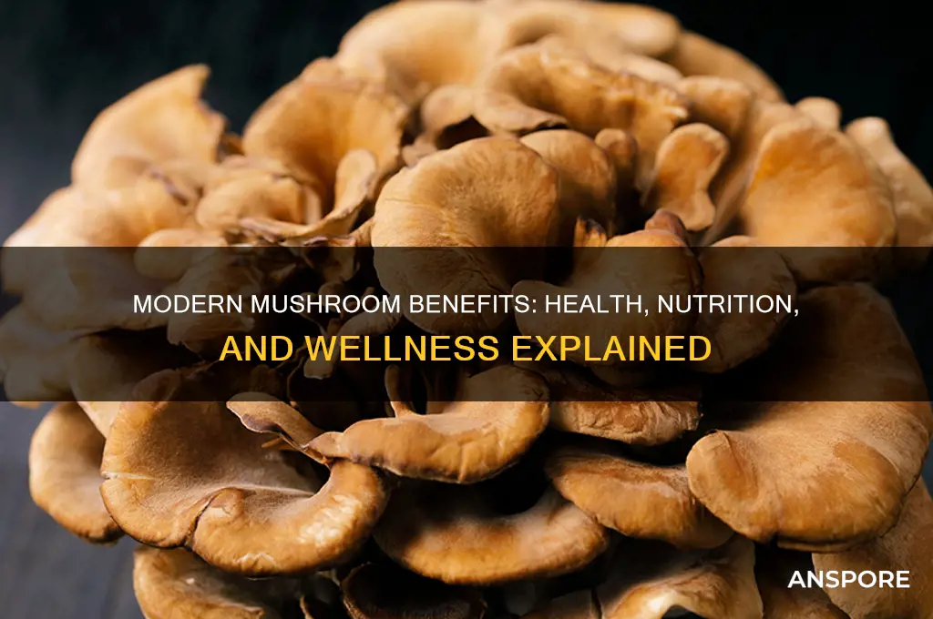 what is modern mushroom good for
