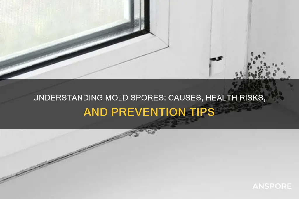 what is mold spores