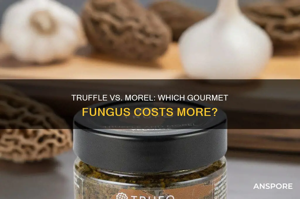 what is more expensive a truffle or a morel mushroom